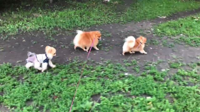 11 июня 2022 г. смотреть онлайн