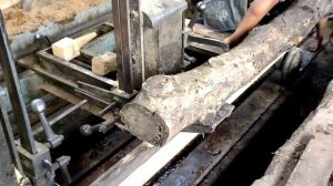 Terkubur 50 tahun baru terungkap kayu kering dibiarkan terbengkalai dalam lumpur