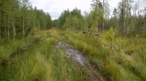 Мотобуксировщик AhtaR с реверсом 13 л/с