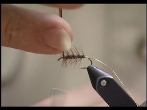 Elk hair caddis