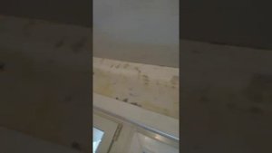 Шпаклевка валиком на 2 слой