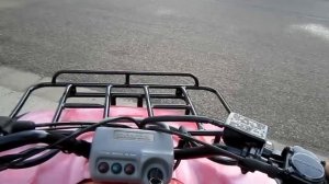 1993 Honda TRX300FW FourTrax 300 4x4