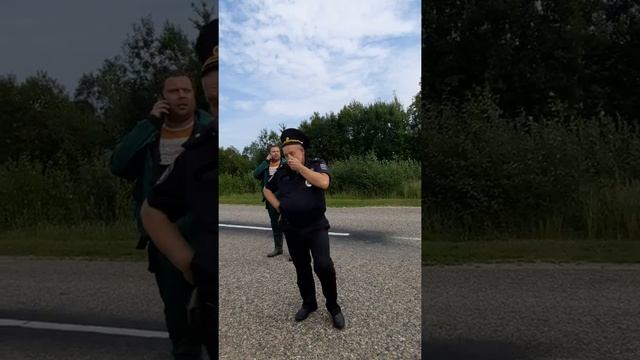 АЧС Ярославская область, Переславль Залесский район .. уничтожение свиней 2.08.2021 смотреть онлайн