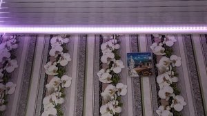Пульт от светодиодной ленты RGB. Как управлять? Все подробно объясню)))