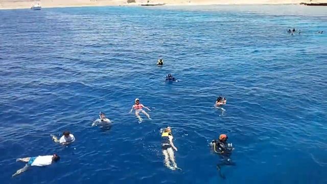 Золотая бухта. Купаемся в Красном море синего цвета. Шарм-Эль-Шейх.