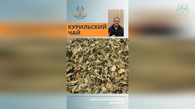 ЗОЛОТОЕ ПРЕДГОРЬЕ АЛТАЯ | ТРАВЫ ДЛЯ ЗДОРОВЬЯ