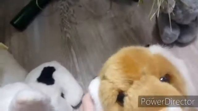 История игрушек часть 5 смотреть онлайн