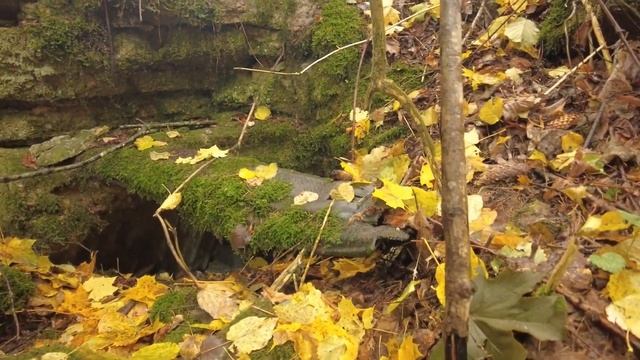 Лес 43 Крево Запад-1. Немецкий бетонный блиндаж 173 (507). 24 октября 2023 года смотреть онлайн