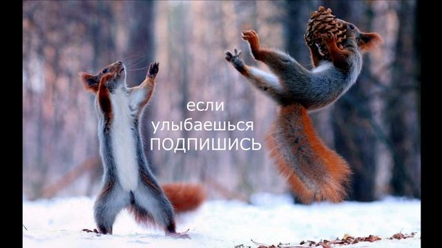 зимнее веселье