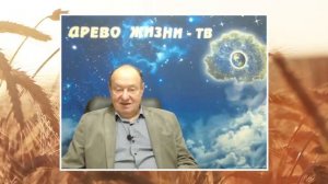 Аркадий Петров о переходе до 2036 года