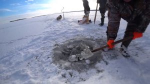 ПРОВЕРЯЕМ СЕТИ НА ОНЕЖСКОМ ОЗЕРЕ. РАЗВЕДАЛИ НОВОЕ МЕСТО. ЗИМНЯЯ РЫБАЛКА. ВЫПУСК №26.