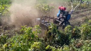 Измельчитель ботвы из косилки Заря