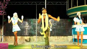 Гр.Экспресс - Галочка