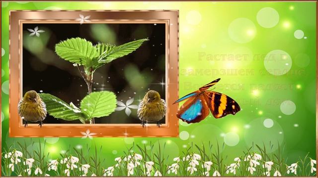 С первым днем ВЕСНЫ! Happy first day of spring! Красивое Видео Поздравление с Первым Днем Весны