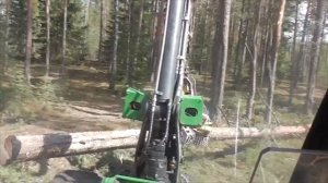 Харвестер Амкодор 2551 в работе, вид из кабины. Лесоповал в Беларуси.