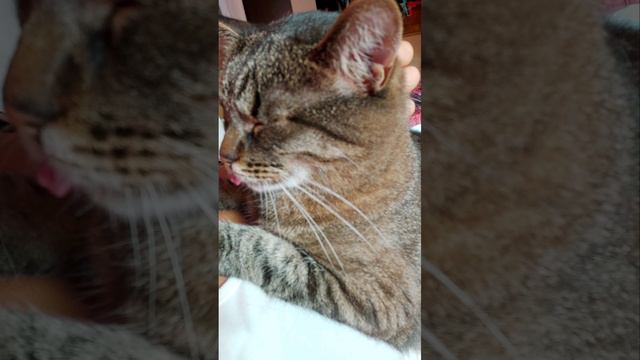 Кайфует смотреть онлайн