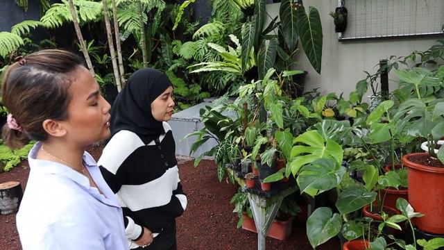 TEMBOK DISULAP JADI MEGA LIVING WALL / HUTAN VERTIKAL - EP 96 смотреть онлайн