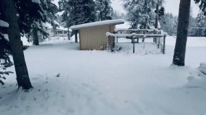 Ski-Doo MX Z X 600 H.O. SDI 2006