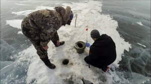 ОКУНИ ЛОМАЮТ ЖЕРЛИЦЫ!!! РЫБАЛКА НА БАЙКАЛЕ ЗИМОЙ