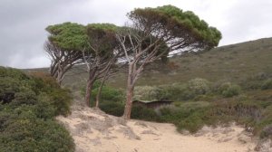 Mari Pintau - Quartu Sant'Elena - Cagliari - Sardegna