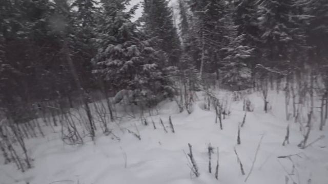 "Охота на лося". Есть зверь, вернее был. смотреть онлайн