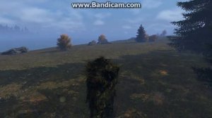 DayZ осечка осечка осечка