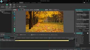Эффект Частицы.Бесплатный видеоредактор VSDC Free Video Editor