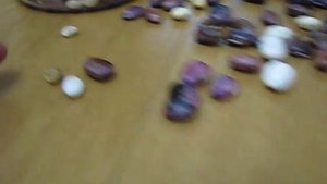 Сушка недоспелых бобов (фасоли) ч.4 (завершающая).