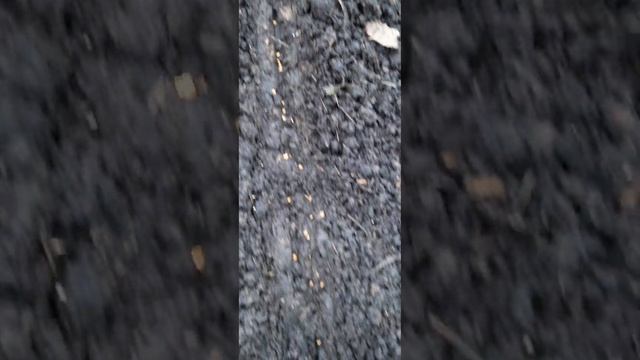 зимние посевы на ранний урожай смотреть онлайн