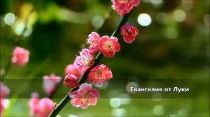 Евангелие от Луки   Глава 17