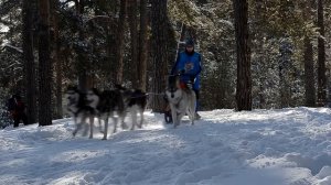 Зимняя сказка 2013; Winter tale 2013