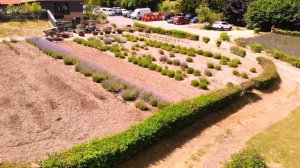 Long Barn Lavender Farm Hampshire