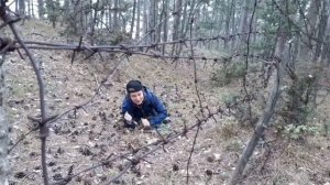 Крымские партизаны