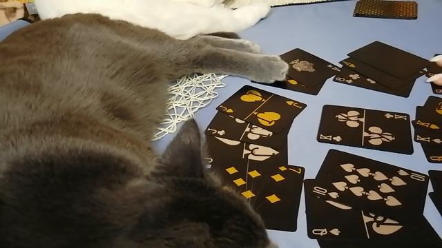 ЧЕМ ОН ЗАНЯТ??ДУМАЕТ ЛИ О ВАС?? ЧТО ДЕЛАТЬ БУДЕТ??? - Цыганское гадание на любимого