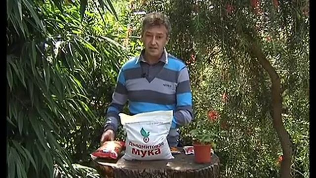 УДАЧНЫЙ СЕЗОН смотреть онлайн