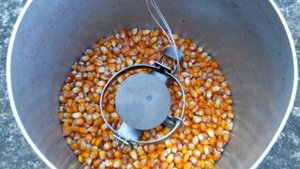 Как избавиться от крыс в частном доме навсегда.