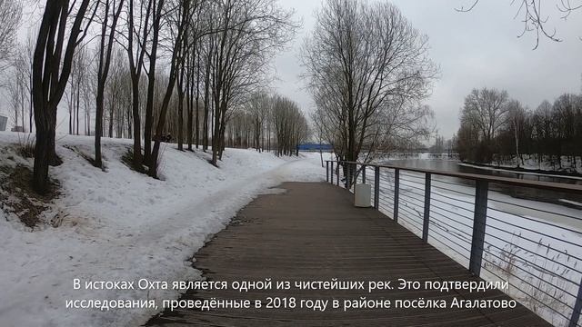 Зимний беговой маршрут. Санкт-Петербург, берег реки Охта