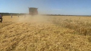 Качество распределения соломы разными комбайнами
