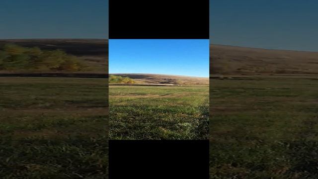 20201004_090922.mp4
