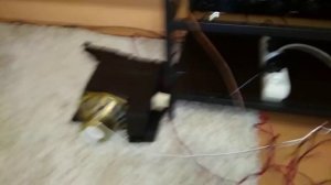 Фронт и сабвуфер от телевизора philips 29pt9008/12