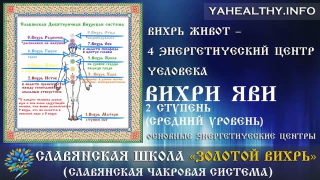 Вихрь Живот – 4 энергетический центр человека | Вихри Яви | Золотой Вихрь смотреть онлайн
