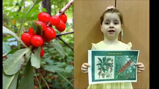 По страницам Красной Книги Рязанской области от "Эколят-дошколят" МБДОУ "Детский сад № 106" смотреть онлайн