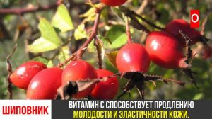 Топ-5 продуктов, которые нужно есть весной