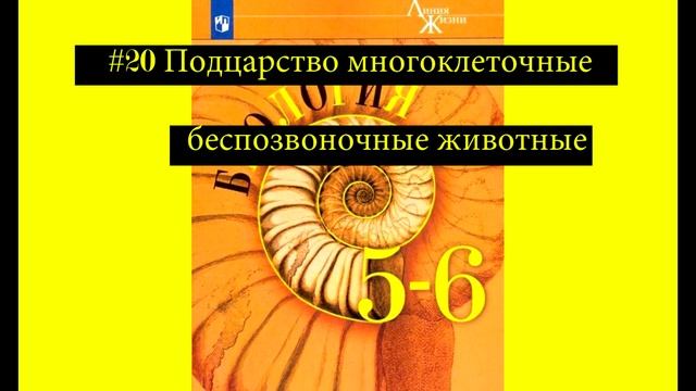 Биология параграф 20 Подцарство многоклеточные. Беспозвоночные животные. смотреть онлайн