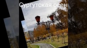 В Сургуте золотая осень..Октябрь 2019