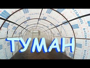 Туман в теплице для зелёного черенкования.