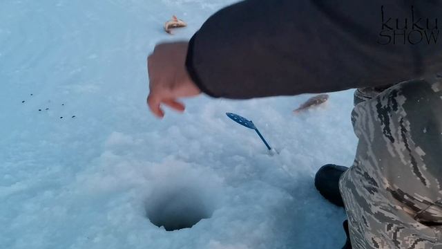 МОРОЗ И ВЕТЕР НЕ ПОМЕШАЛИ ВЗЯТЬ ХОРОШИЙ УЛОВ оз. Ачикуль Усть-логатка Омская обл. Рыбалка 2021