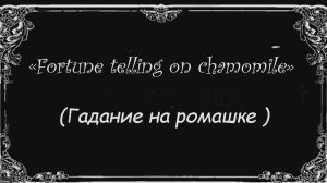 Гадание на ромашке.