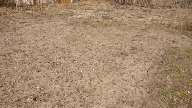 С чего начинается  весна на участке каждый год смотреть онлайн