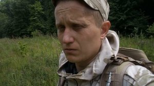 Сбор и сушка зверобоя в домашних условиях